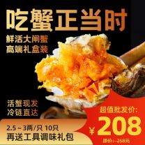 【贝王甄选】苏霸王大闸蟹 2.5~3两/只(10只装)送工具调味礼包