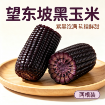 余乡甄品望东坡黑玉米2根