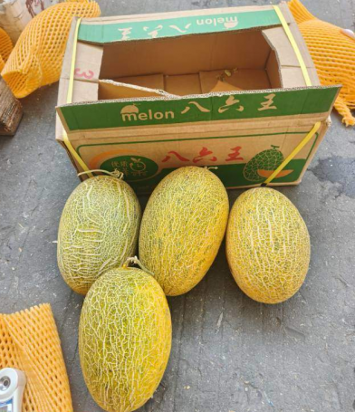【余江自提】全国优质哈密瓜